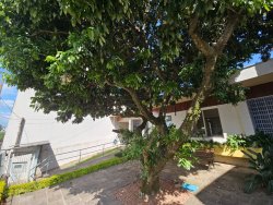 Casa com 03 dormitórios no bairro Rio Branco 
