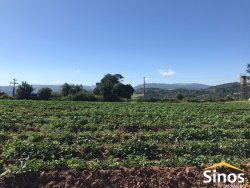Sítio de 1,7 hectares na área central de Lomba Grande