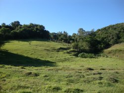Área de 2,6 hectares no Morro dos Bois