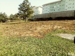 Terreno com 1.500m² no bairro Rondônia 