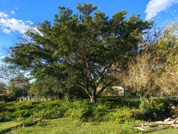 Área de terra próxima a área central da Lomba Grande