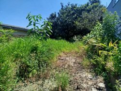 Terreno com construção com 257,82m² no bairro Guarani