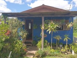 Terreno com duas casas no Passo dos Corvos 