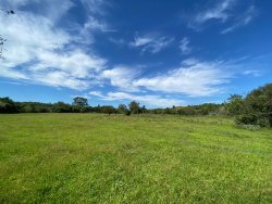 Sítio com 3,1 hectares no bairro Lomba Grande