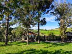 Chácara com 1 hectare, totalmente aproveitável, próxima ao asfalto