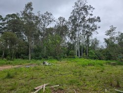 Área de terra com 9.500m² no bairro Lomba Grande