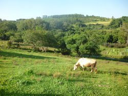 Sítio na área central de 1,6 hectare em Lomba Grande