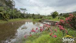 Sítio com 2,00 hectares no bairro Lomba Grande