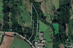 Sítio de 4,00 hectares na região central de Lomba Grande 