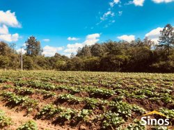 Área de 2,00 hectares no bairro Lomba Grande