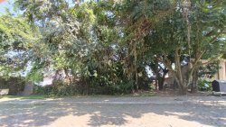 Terreno com 1.400m² no bairro Rondônia