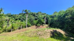 Sítio com 40.000,00m² no bairro Arroio Paixão