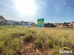 Terreno plano na rua Guia Lopes