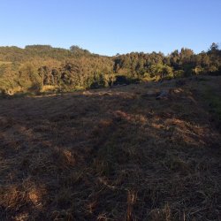 Sítio de 2,89 hectares