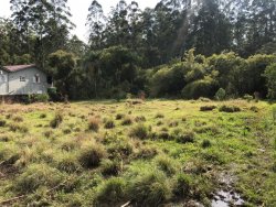 Terreno bem localizado e plano