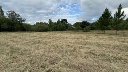 Terreno comercial com 10.555,20m² no Bairro Lomba Grande