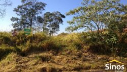 Terrenos de 321 m² no Loteamento Blumenburg