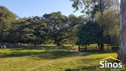Sítio com 62 hectares no bairro Capela de Santana 