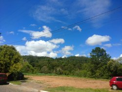 Terrenos no bairro Roselândia 
