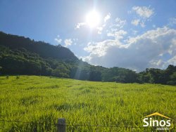 Sítio com 5,00 hectares no bairro Lomba Grande