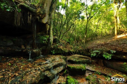 Sítio com 4,00 hectares em Lomba Grande 