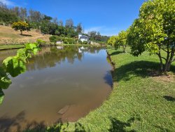 Sítio com 7.000m² no bairro Lomba Grande
