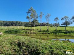 Sítio com 10,00 hectares no bairro Lomba Grande