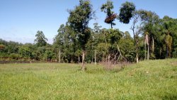 Terreno em Zona Nobre Alpes do Vale