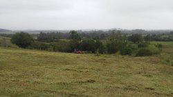 Sítio de 5.000,00 m² em Lomba Grande