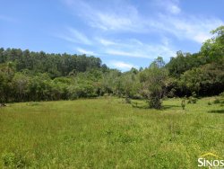 Sítio de 17,2 hectares em Lomba Grande