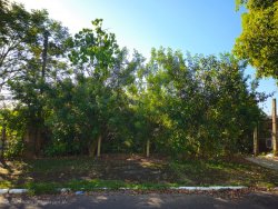 Terreno com 392,40m² no bairro Ouro Branco