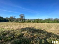 Sítio com 2,9 hectares no bairro Lomba Grande 