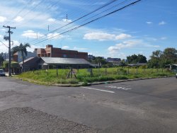 Dois terrenos no bairro Rondônia