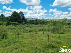 Sítio de 6,51 hectares em Lomba Grande
