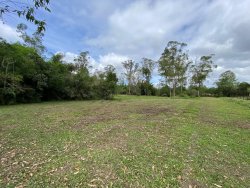 Sítio com 1,0 hectare no bairro Lomba Grande