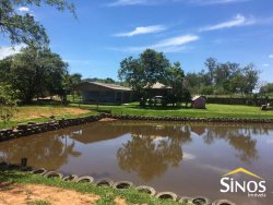 Sítio de 5.000,00 m² em Lomba Grande