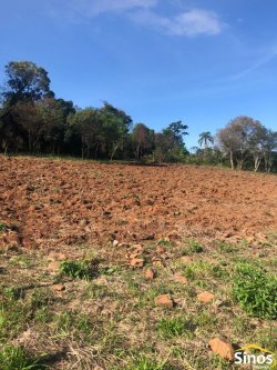 Sítio com 5,4 hectares na Fazendo Fialho