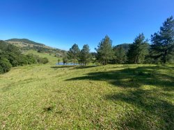 Sítio com 3,2 hectares totalmente aproveitável 