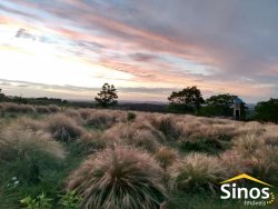 Sítio de 2,00 hectares em Lomba Grande 