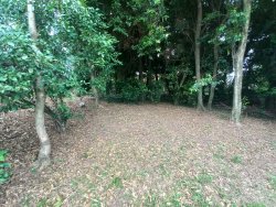 Terreno com 429m² no bairro Jardim Mauá 