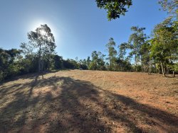 Sítio com 7.364,95m² no bairro Lomba Grande
