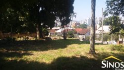 Terrenos no Bairro Ideal