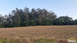 Áreas de 2,00 hectares no Recanto dos Coqueiros
