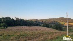 Áreas de 1,00 hectare no Recanto dos Coqueiros