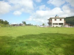 Lindo sitio em Lomba Grande com 2,5 hectares
