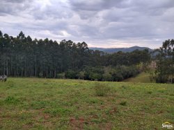 Sítio com 2,00 hectares em Lomba Grande